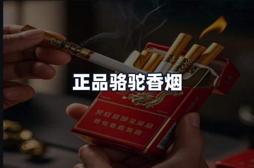 正品骆驼香烟
